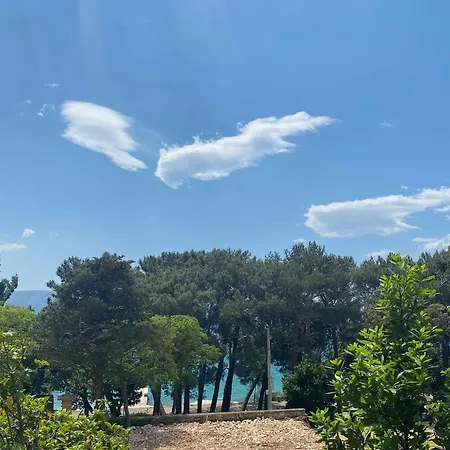 Apartment Rosetta Novi Vinodolski