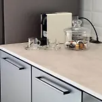 Rosetta 诺维·维诺多尔斯基